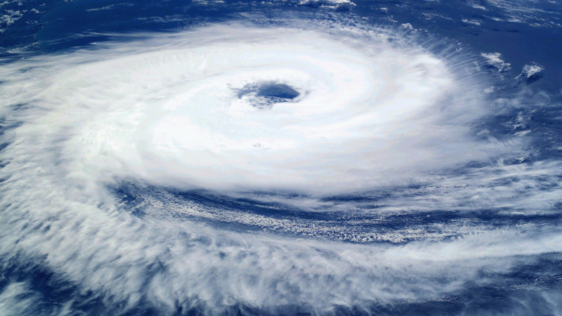 Hurricane Season Home Prep for Charleston Homeowners | Carolina One Real Estate