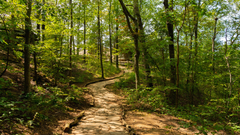 Outdoor Adventures: Hiking and Nature Spots Near Charleston | Carolina One Real Estate